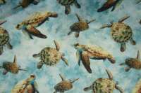 Tides Of Color Schildkröten