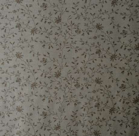 Papillon grey
