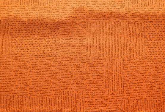 Wild Text Orange