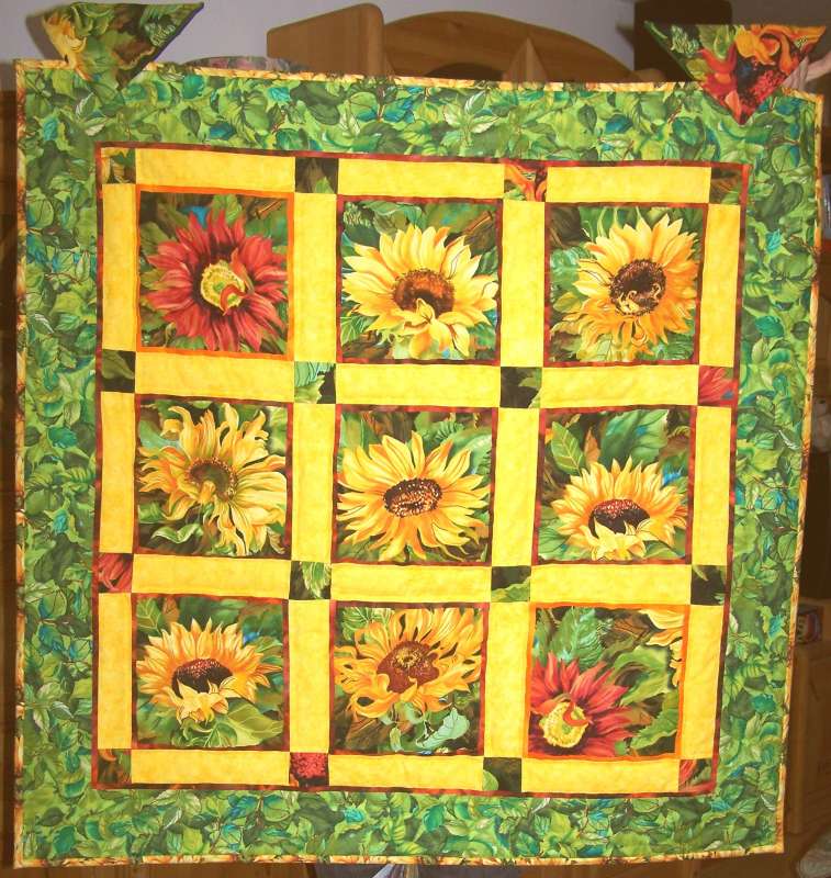 Sunflower splash
