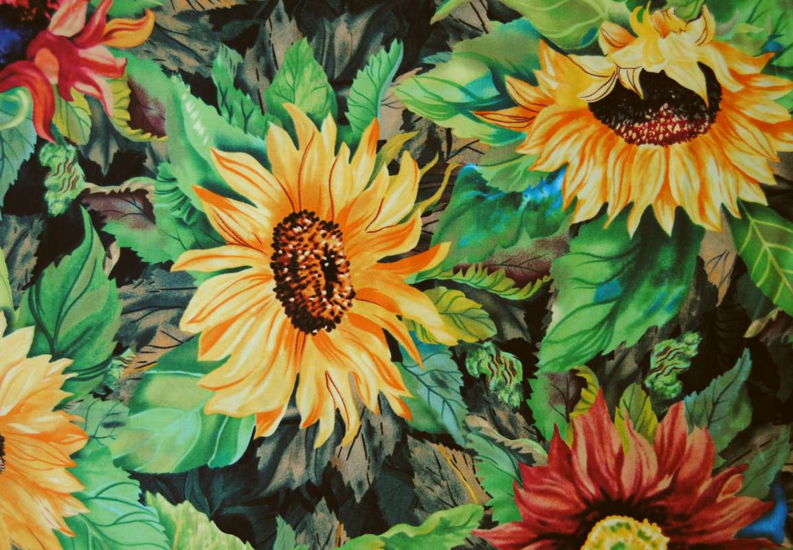 Flowers of the Sun gelb