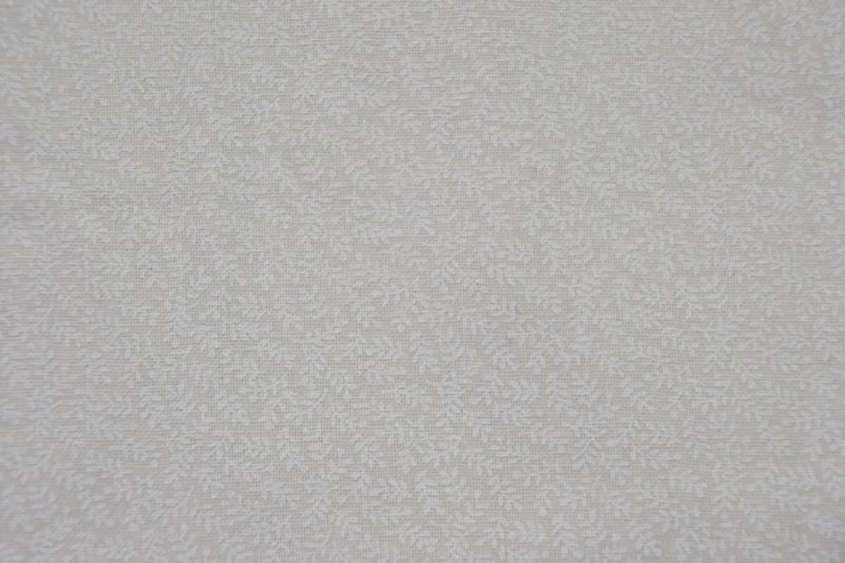 Zweige auf Creme
