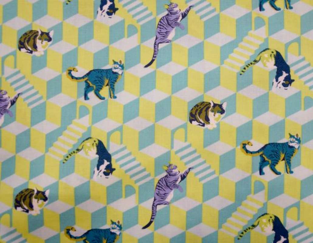 Tiny Beasts Katzen